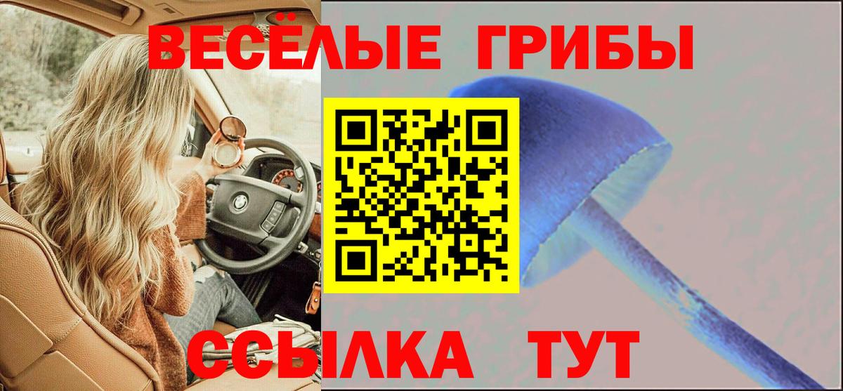 Галлюциногенные грибы Psilocybe  Вход с VPN  наркота  Наро-Фоминск 